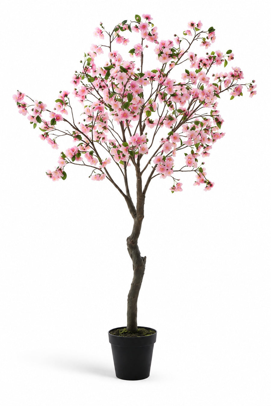 Arbre fleuri rose