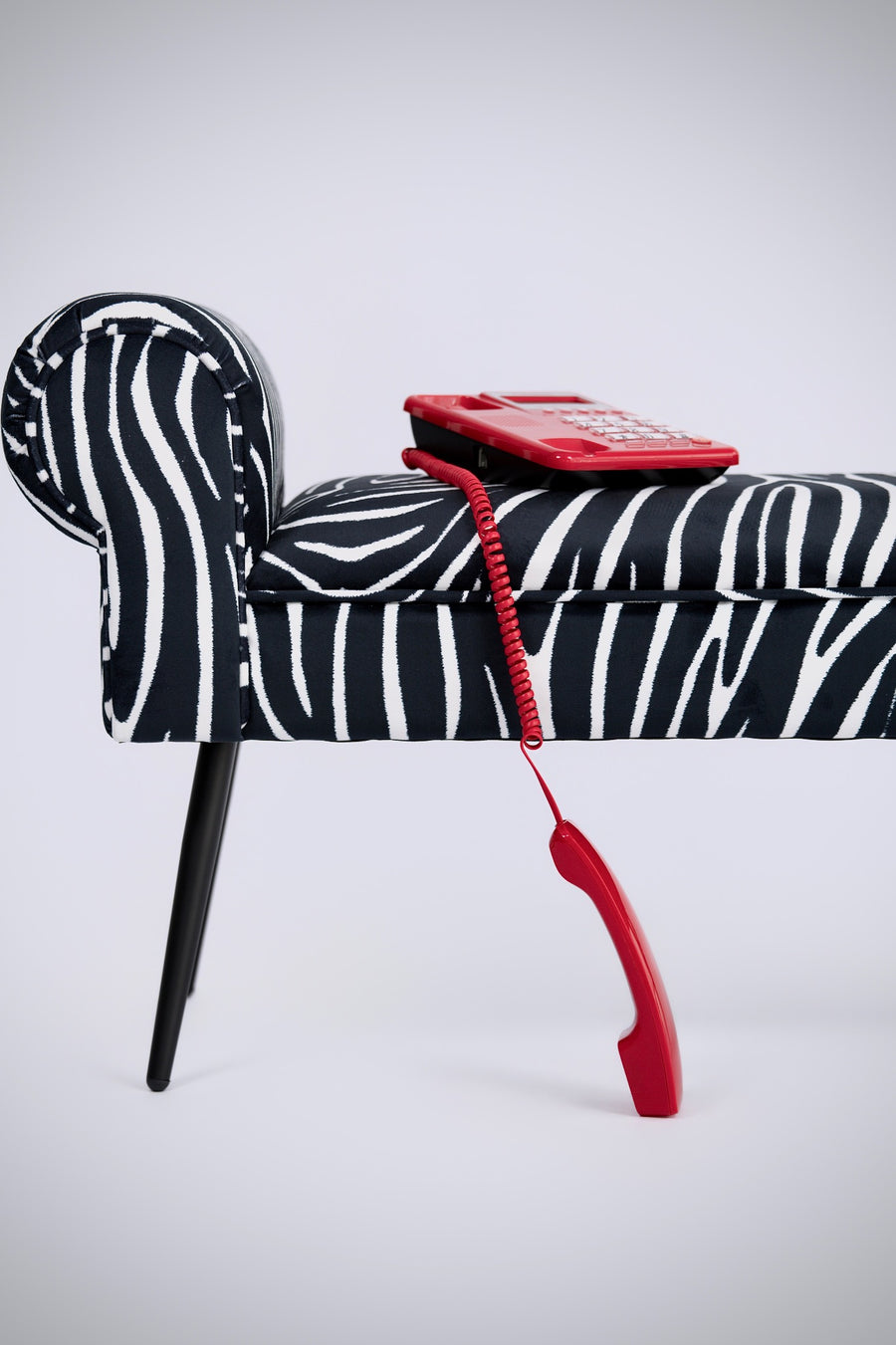 Banc zébré